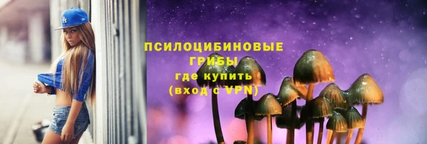 прущий лед Аркадак