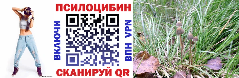 Купить закладки  Сунжа  Галлюциногенные грибы прущие грибы 